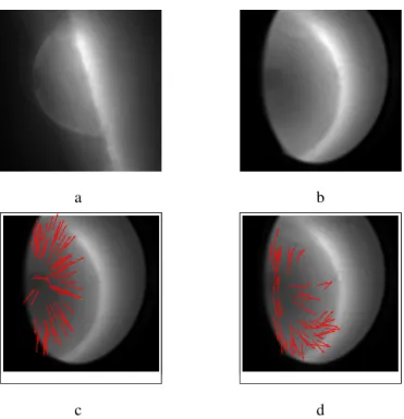 Fig. 3. Visualization of taxi sequence texture and velocity field computed, from right to the left, by global then local optical flow method on a 20 pixel neighborhood