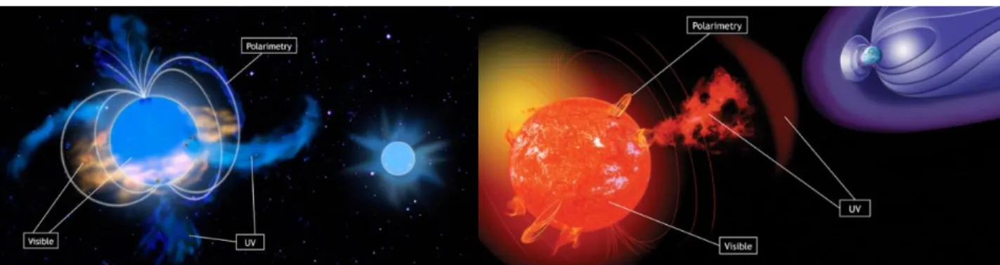 Figure  1:  Left:  Sketch  of  a  hot  star  with  its  fossil  magnetic  field  lines,  channeled  polar  wind,  surface  spots,  equatorial     magnetosphere, corotating  interaction regions, and a stellar companion