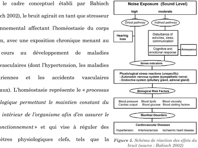 Figure 5. Schéma de réaction des effets du  bruit (source : Babisch 2002) 