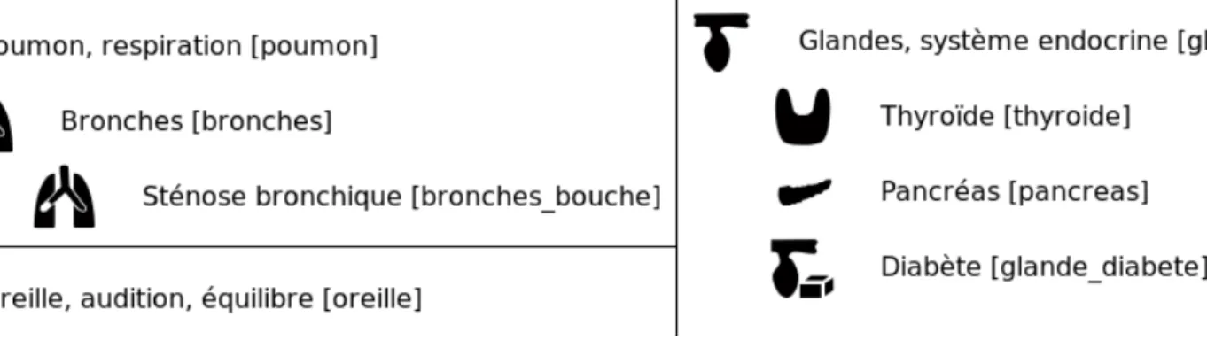 Figure 13 – Trois extraits du lexique des primitives VCM rédigé manuellement. Les identifiants des primitives figurent entre crochets.