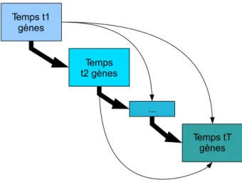 Figure 6.1 : Principe de la méthode d’inférence des réseaux de gènes provenant de plusieurs états.
