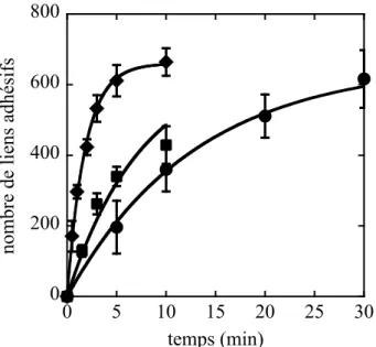 Figure 2.3 : cinétiques d’adhésion du pontage par du PAA. Influence de la température pour B = 12 mT : 35°C (), 40°C (), et 45°C ( ♦ ); les courbes sont des régressions exponentielles.