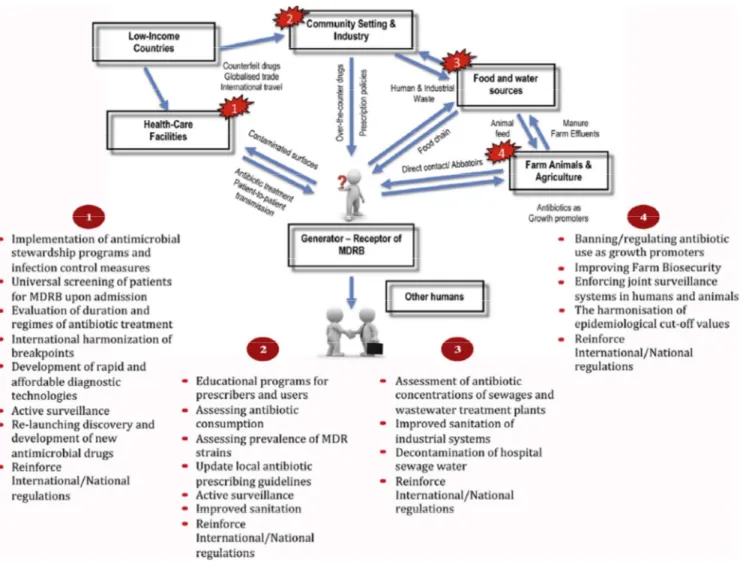 Figure 2 : Tirée de l’article de Roca et al.[100] 