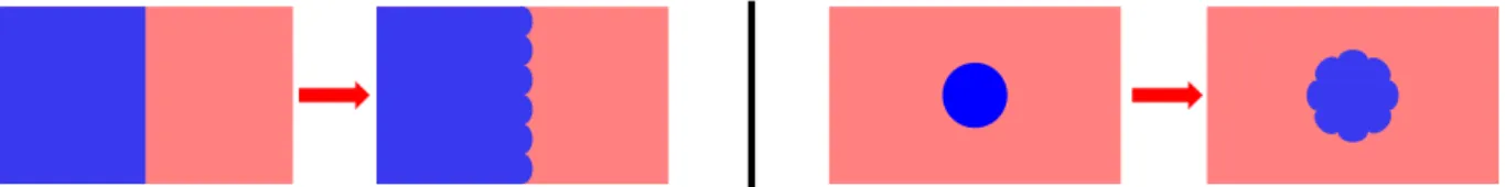 Figure 2.1: Principle of a demixing experiment. We create an interface between two spin domains and then monitor the formation of patterns at this interface that are expected to appear through a dynamical instabilities.