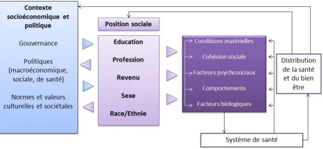 Figure  5.  Cadre  conceptuel  des  déterminants  sociaux  de  santé  (source :  Solar  and  Irwin).