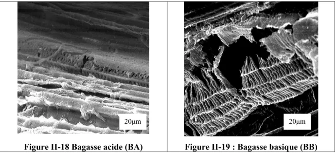 Figure II-18 Bagasse acide (BA)  Figure II-19 : Bagasse basique (BB) 