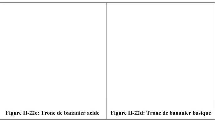 Figure II-22c: Tronc de bananier acide  Figure II-22d: Tronc de bananier basique 