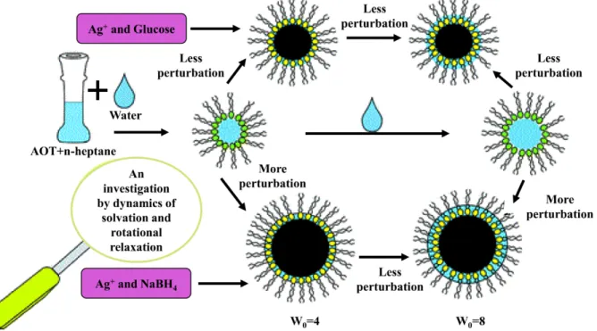 Figure 2: Effect of the different reducing agents (glucose and sodium tetrahydroboride) on the  size of silver nanoparticle synthesized in bis(2-ethylhexyl) sulfosuccinate sodium salt/n-heptane  system