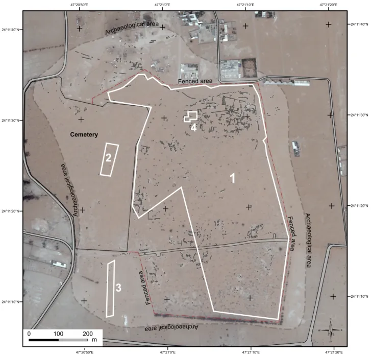 Figure 92  Al-Yamāma: map of the different zones of geomagnetic survey. Zones 1, 2 and 3 were investigated  with the Backpack, Zone 4 with the Sledge (B