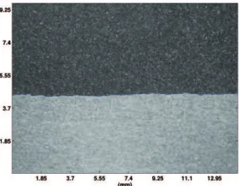 Figure 2: Experimental picture of the crack front for one equilibrium position. In blue the extracted crack front