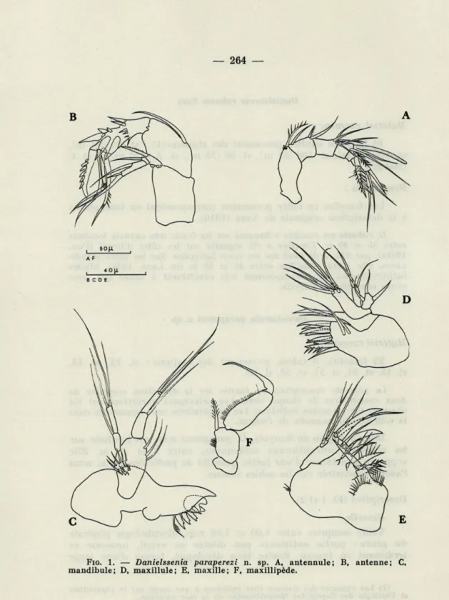 FIG.   1.  —  Danielssenia  paraperezi  n.  sp.  A,  antennule;  B,  antenne;  C,  mandibule;  D,  maxillule;  E,  maxille;   F,   maxillipède