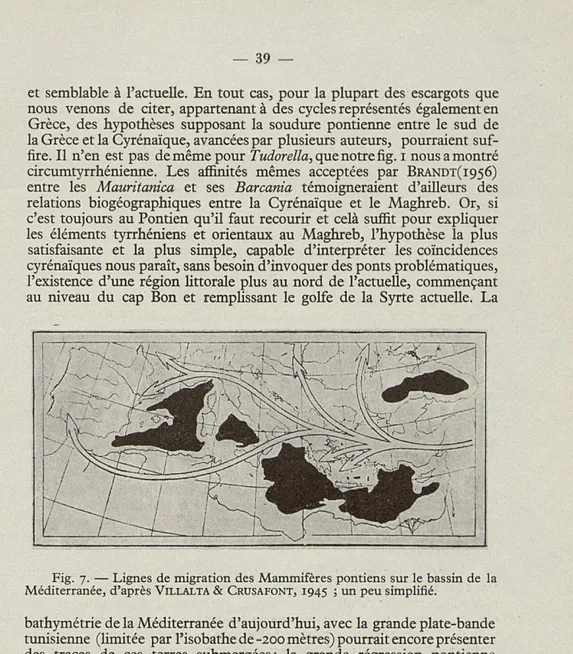 Fig.   7.   — Lignes  de migration  des Mammifères  pontiens  sur le bassin  de  la  Méditerranée, d'après   VlLLALTA  &amp;   CRUSAFONT,   1945  ; un peu simplifié
