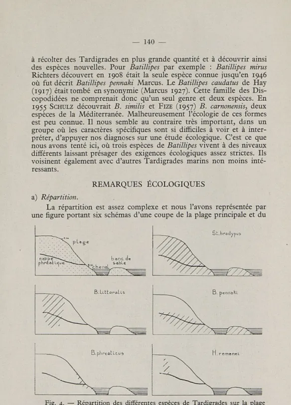 Fig.  4.  —  Répartition  des  différentes  espèces  de  Tardigrades  sur  la  plage  du  camp  américain  et  au  Bancot  en  avril  1957  (schéma)