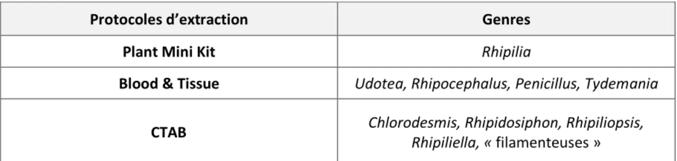 Tableau 2 : Amorces utilisées pour l’amplification des marqueurs tufA, rbcL, and 18S rDNA 