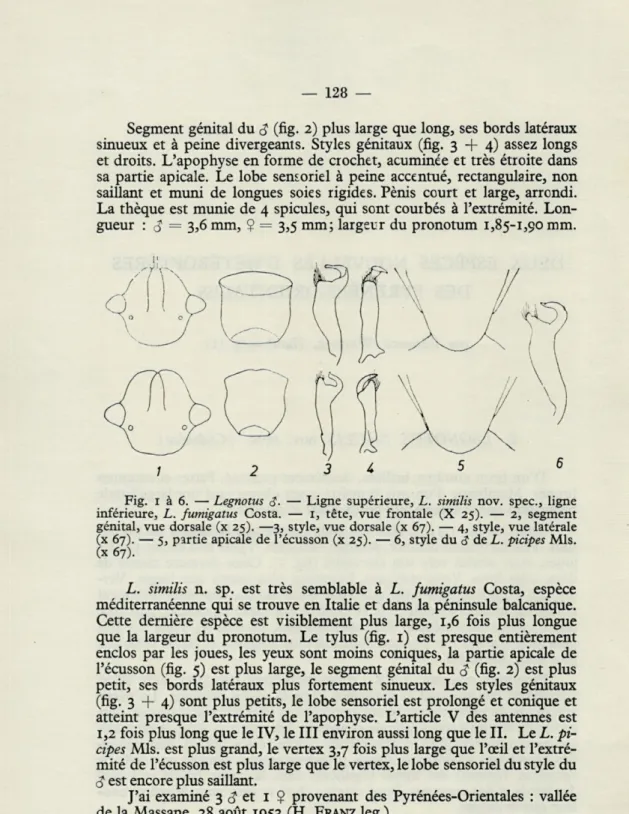 Fig.   1   à  6.   —   Legnotus  S-  —  Ligne  supérieure,  L.  similis  nov.  spec,  ligne  inférieure,  L