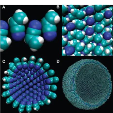 Figure  4:  proposed  structure  of  Titan  “azoto- “azoto-some”:  a  membrane  that  may  be  stable  in  liquid methane composed of acrylonitrile  sub-units