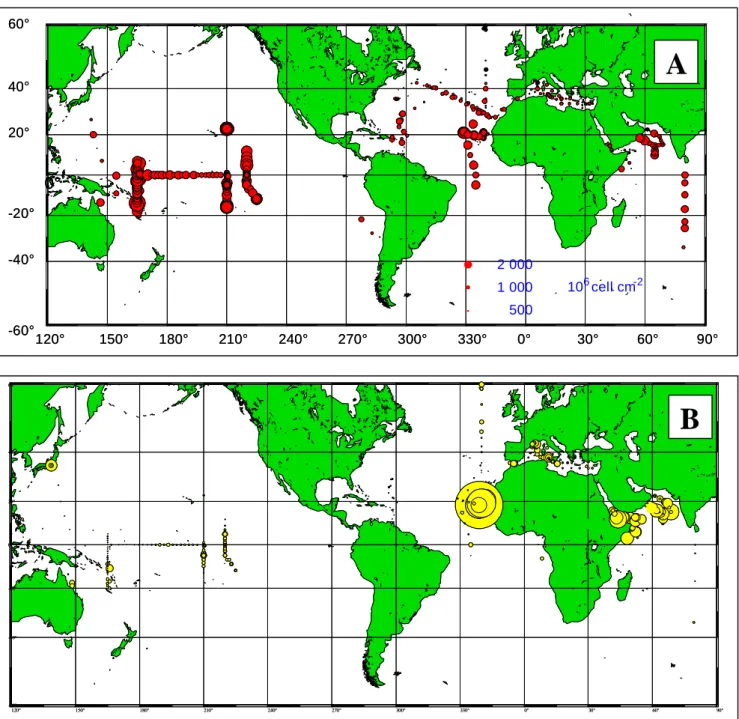 Fig. I.6  Cartes représentant les concentrations intégrées le long de la colonne d’eau et le type de distribution au niveau mondial de Prochlorococcus (A) et Synechococcus (B) mesurée par cytométrie en flux