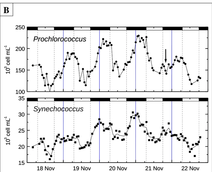 Fig. I.7 Variabilité inter-annuelle (A) et la variabilité journalière (B) des concentrations cellulaires des populations de Prochlorococcus et de Synechococcus mesurées par cytométrie en flux dans le l’océan Pacifique (extrait de Campbell et al