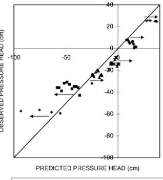Fig. 10. Predicted vs. observed daily pressure heads with measured root density profile (simulation 1 in Table 4):