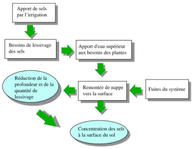 Figure 2. Vision schématique du processus de salinisation secondaire en périmètre irrigué [C1] 