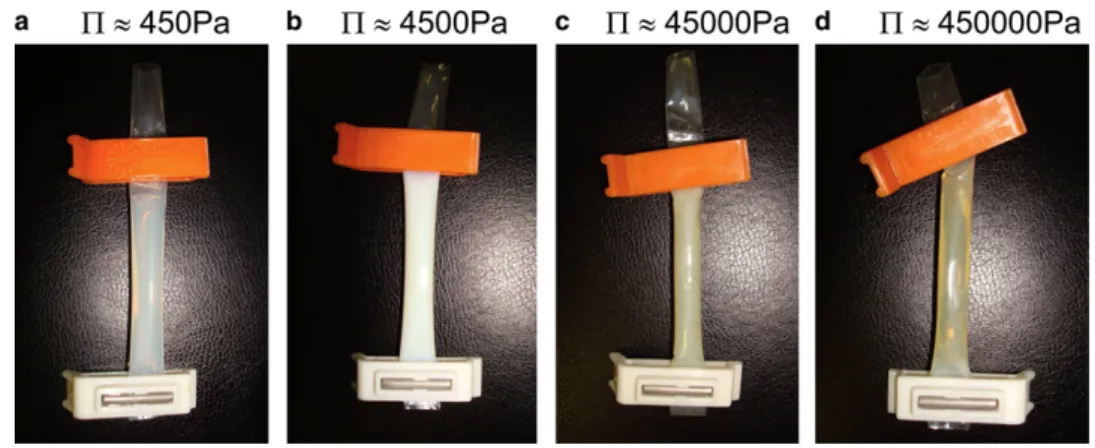 Fig. 5 presents the boundaries of the transition region: the lower boundary is taken as the last sample that flows as