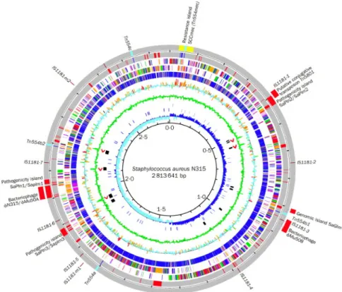 Figure 7.  Représentation circulaire du chromosome de la souche N315 (et des éléments spécifiques  de la souche Mu50) appartenant au clone New-York/Japon