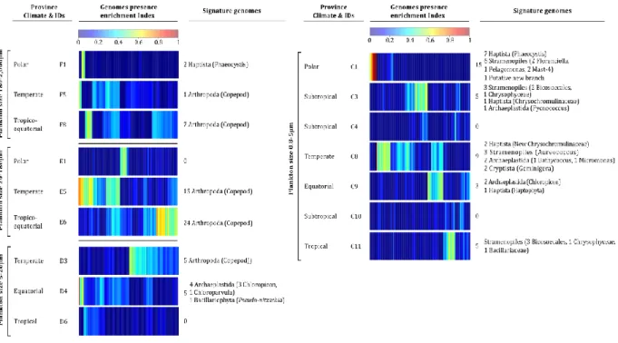 Fig. 1 | Signature genomes of provinces of eukaryotes enriched size classes. For each plankton  665 