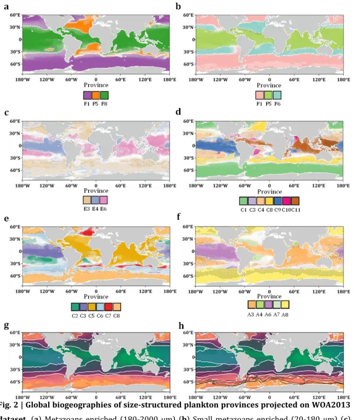 Fig. 2 | Global biogeographies of size-structured plankton provinces projected on WOA2013  671 