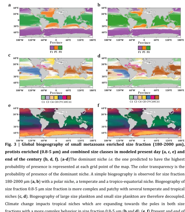 Fig.  3  |  Global  biogeography  of  small  metazoans  enriched  size  fraction  (180-2000  μm),  684 