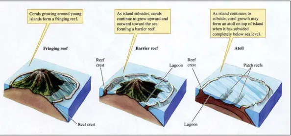 Figure 3. Représentation des trois types de récifs. Source: thegeographeronline.net 
