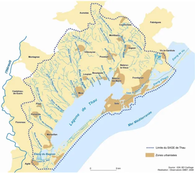 Figure 1: Carte des cours d’eaux et des zones urbanisées du bassin versant de la lagune de  Thau (source SMBT) 