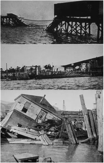 Figure 8 : Photographies anciennes dans la baie de  San  Francisco, de constructions détruites par  Terredo Navalis
