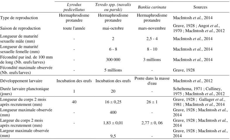Table III.3 : Traits d’histoire de vie des trois taxons les plus abondants en Méditerrannée, Lyrodus  pedicellatus, Teredo spp