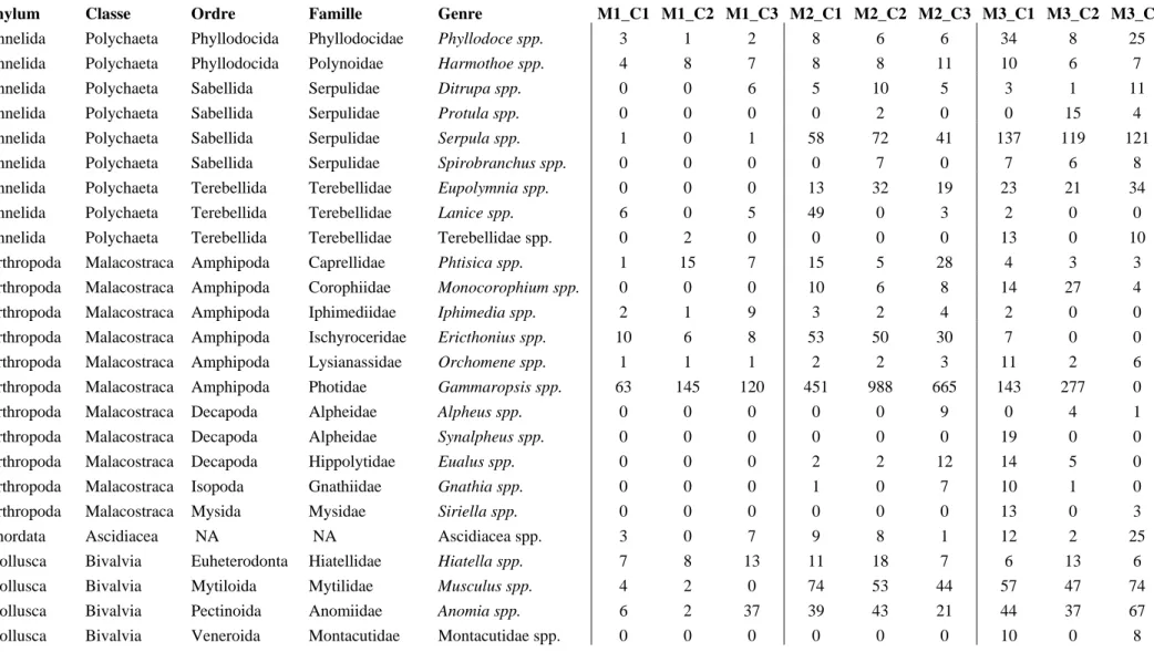 Table AI.1 : Tableau de contingence des 24 genres les plus abondants identifiés au sein des assemblages des microcosmes expérimentaux (ind/microcosme)