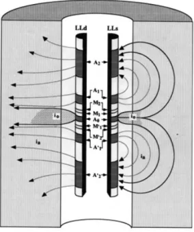 Figure 4.1. Outil Dual Latérolog DLL : focalisation des lignes de courant avec deux profondeurs  d’investigation (document de Schlumberger)