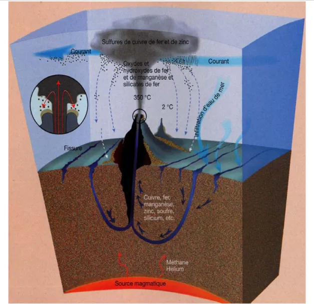 Figure I-2  : Représentation schématique des processus de formation des fluides  hydrothermaux (Rouat, 1999)