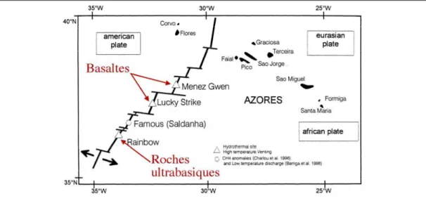 Figure I-10: Nature des roches du plancher océanique au niveau du point triple des Açores  (d’après Fouquet et al., Soumis)