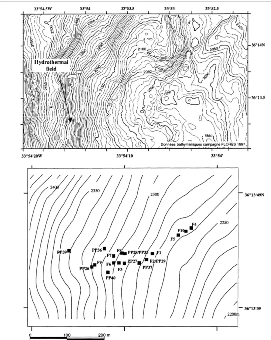 Figure I-11 : Localisation du champ hydrothermal Rainbow (en haut) et des sites actifs de ce  champ hydrothermal (en bas) (Desbruyères et al., 2001)