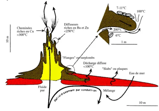 Figure I-13: Coupe schématique d’une cheminée hydrothermale montrant les différents types  de structure observés (modifié d’après Desbruyères et al., Sous presse ; Fouquet et al.,  soumis)