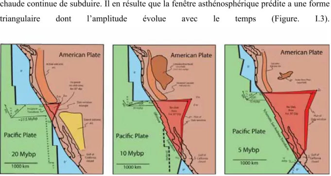 Figure I.3 : Reconstitutions géométriques et cinématiques de l’évolution de la fenêtre  asthénosphérique sous le contient nord-américain entre 20 et 5 Ma (Dickinson et Snyder,  1979)