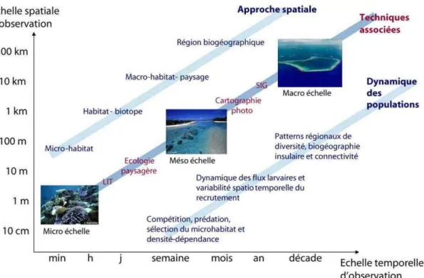 Figure  3 :  Echelles  spatio-temporelles  associées  à  la  dynamique  des  populations  et  à  leur  description  dans  les  écosystèmes coralliens [Adaptation du diagramme de Dickey (1990 ; 1991)]