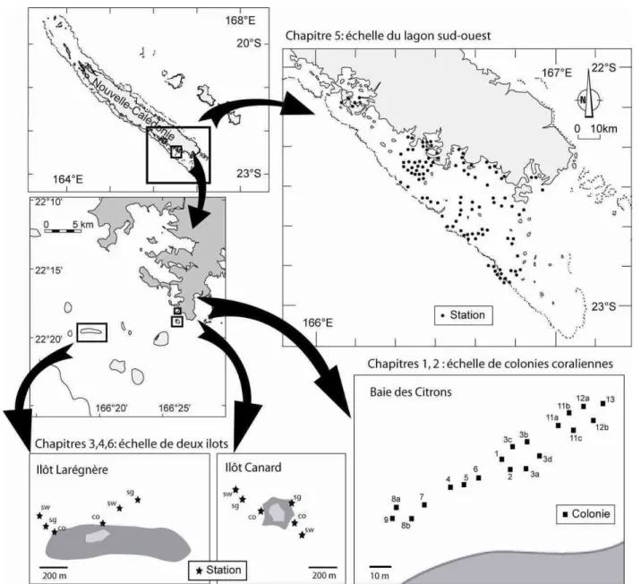 Figure 6 : Echelles spatiales et sites d’étude correspondant à chacun des chapitres de la thèse