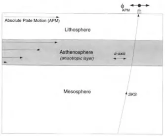 Figure  1.11:  Anisotropie induite par le déplacement de la  lithosphère au-dessus d’une asthénosphère passive [Silver,  1996].