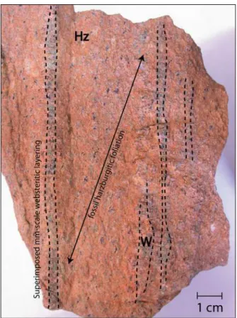 Fig.  2:  Print  of  the  fossil  harzburgitic  foliation  in  harzburgites  (Hz)  close  to  the  contact,  cross-cut  by  a  latter mm-scale websteritic layering (W) related to the  refertilization