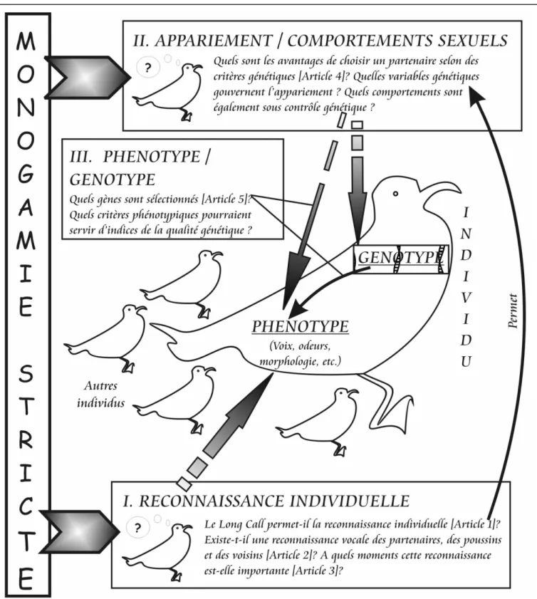 Figure 0-1: Organisation de la thèse. 