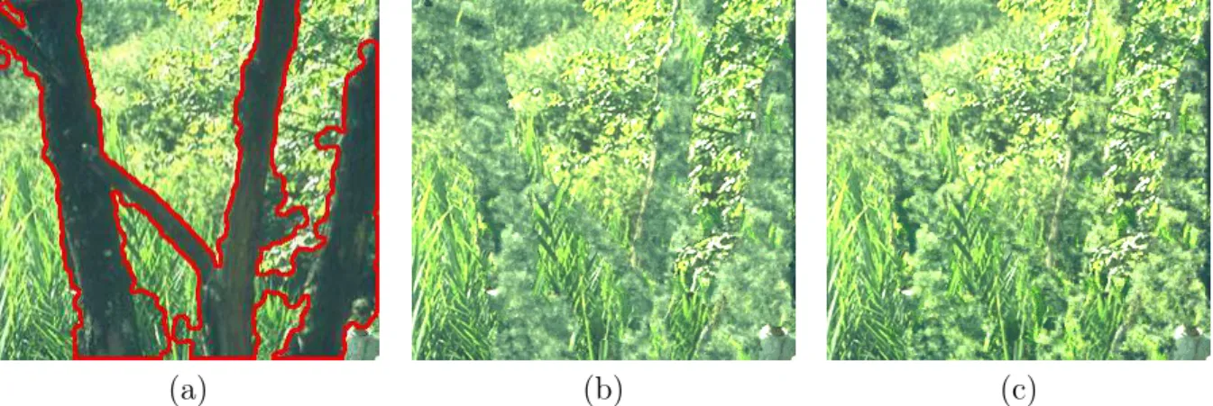 Figure 1.5: Patch-based inpainting correction with spatiogram transfer (Papadakis et al., 2012)