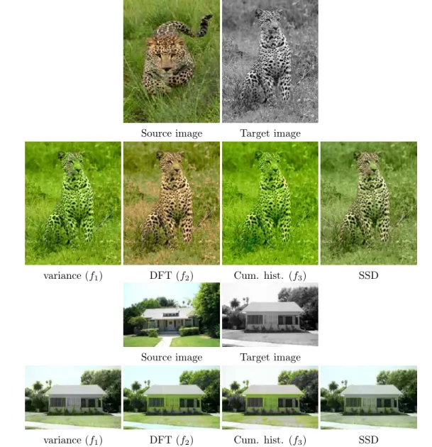 Figure 1.7: Influence of the features on the colorization result.