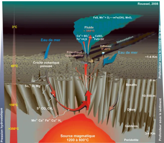 FIG. 1.4 – Caractéristiques physique et chimique des fluides d’un système hydrothermal circu- circu-lant à travers la croûte océanique (d’après Roussel, 2008; Jannasch, 1995; Kelley et al