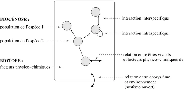 Figure 2 : Interactions au sein d’un écosystème