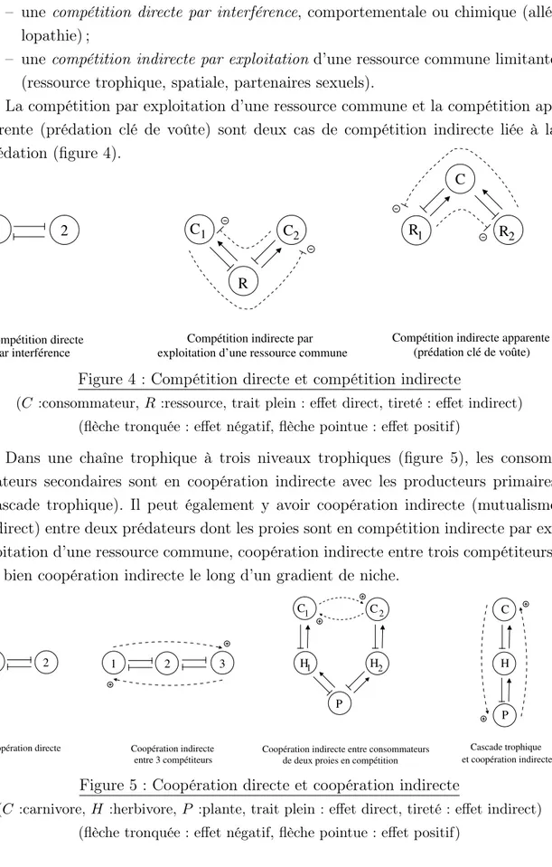 Figure 4 : Compétition directe et compétition indirecte